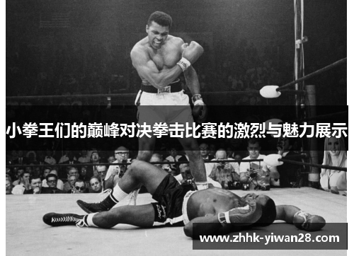 小拳王们的巅峰对决拳击比赛的激烈与魅力展示